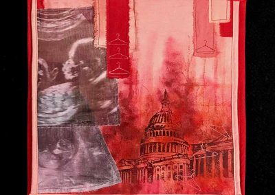 A paper and image print with ultrasound images, red overlays, the capital building, and hangers embroidered above.
